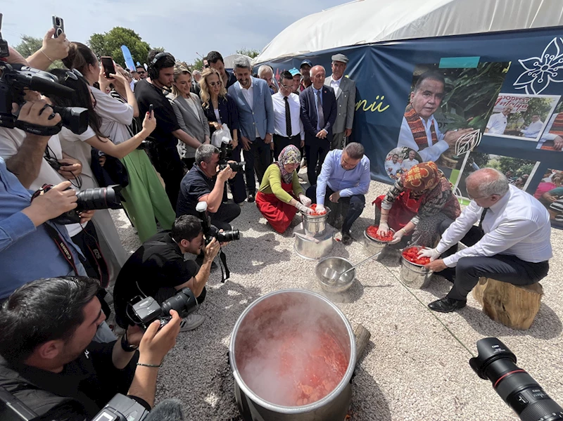 Uluslararası FoodFest Antalya Gastronomi Festivali kapsamında domates hasadı yapıldı
