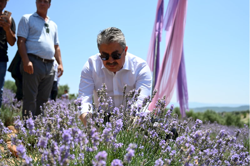 Osmaniye’de Lavanta ve Zeytin Çiçeği Festivali düzenlendi
