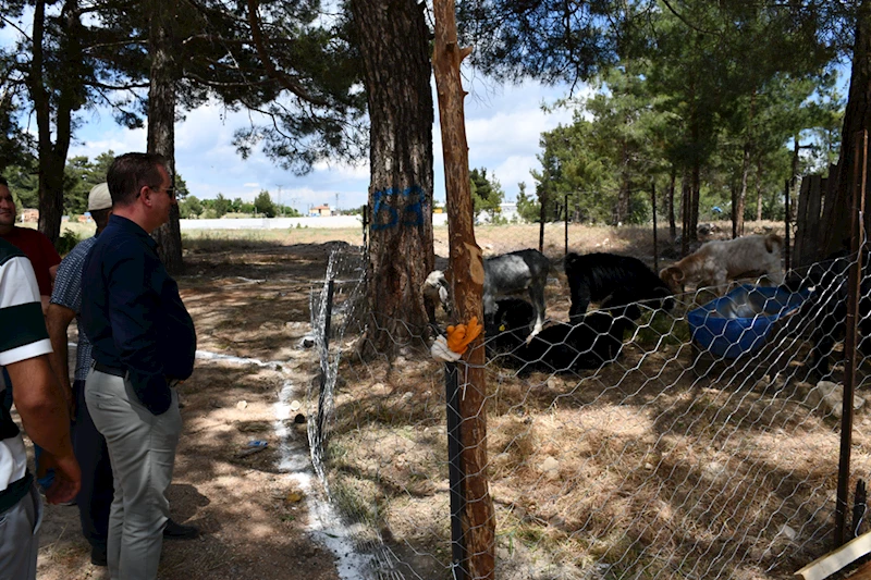Gülnar Belediye Başkanı Fatih Önge kurban satış alanını inceledi