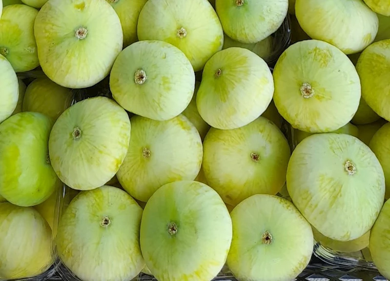 Mut beyazı inciri için coğrafi işaret başvurusunda bulunulacak