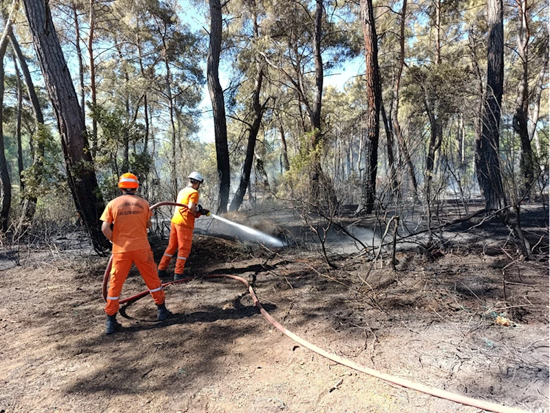 GÜNCELLEME 3 - Antalya