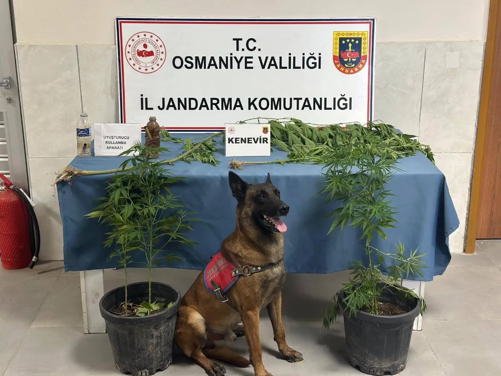 Osmaniye’de jandarma son bir haftada 103 şüpheliyi yakaladı