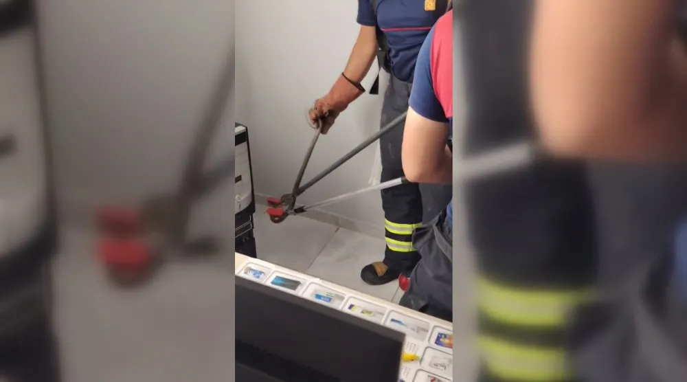 Osmaniye’de sağlık ocağına giren yılan paniğe neden oldu