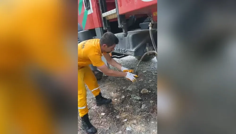 Osmaniye’de Orman Yangınından Kaplumbağa Kurtarıldı