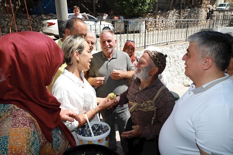 AK Parti Antalya Milletvekili Çokal, Akseki