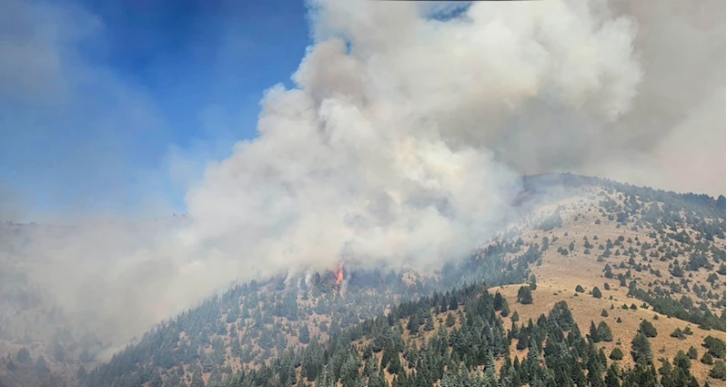 GÜNCELLEME - Kahramanmaraş’ta çıkan orman yangınına müdahale sürüyor