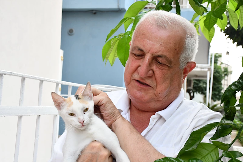 Kalbini açtığı 8 kediye evinin bahçesine koyduğu kulübelerde bakıyor