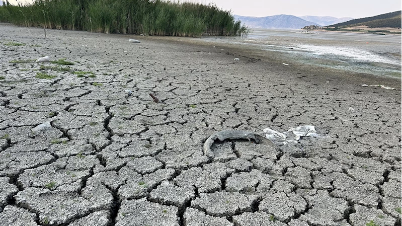Kuraklık, Mada Adası