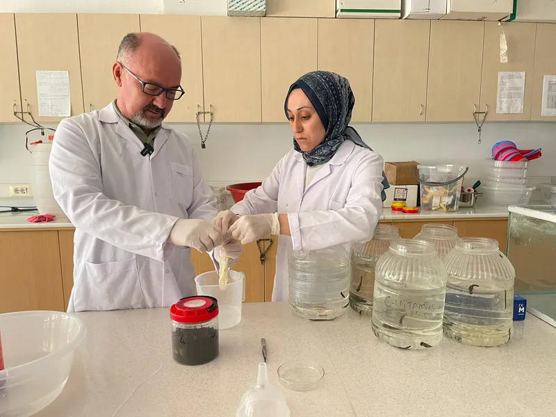 Türkiye ve Özbekistan arasında tıbbi sülük yetiştiriciliği için işbirliği