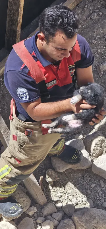 Antakya ilçesinde inşattaki çukura düşen köpek yavrusunu itfaiye ekibi çıkardı