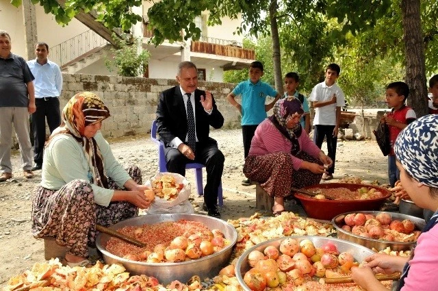 Ekşi nar Başkan Kara`yı perişan etti