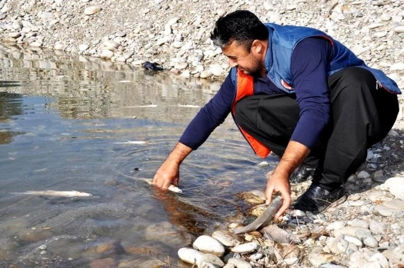 Ceyhan Nehri?ndeki balık ölümleriyle ilgili inceleme başlatıldı