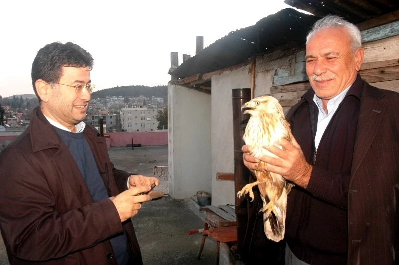 Otomobiliyle çarptığı doğanı tedavi ettirdi