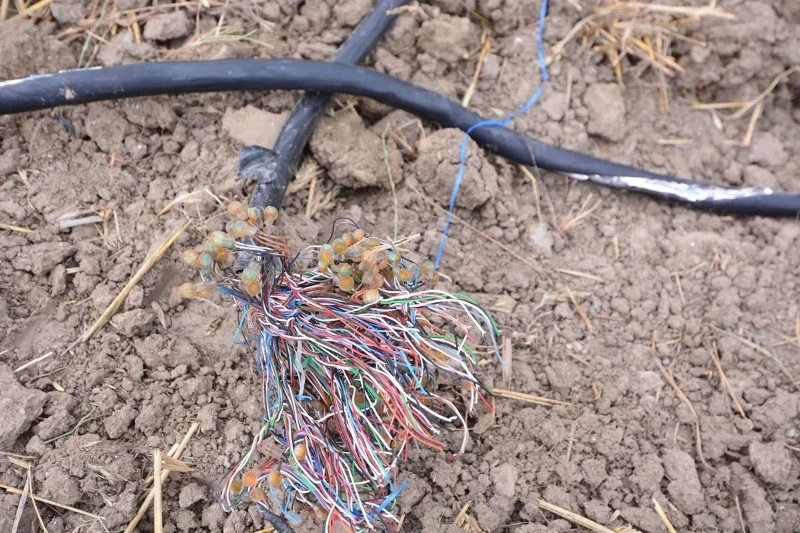 Fiber optik telefon ve internet kablosunu çaldılar