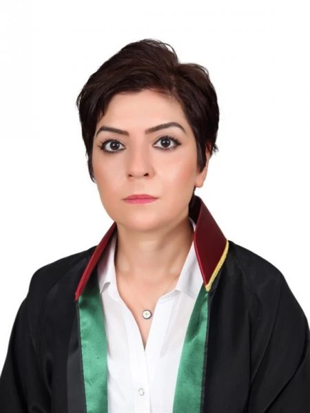 Osmaniye kadına şiddette birinci sırada