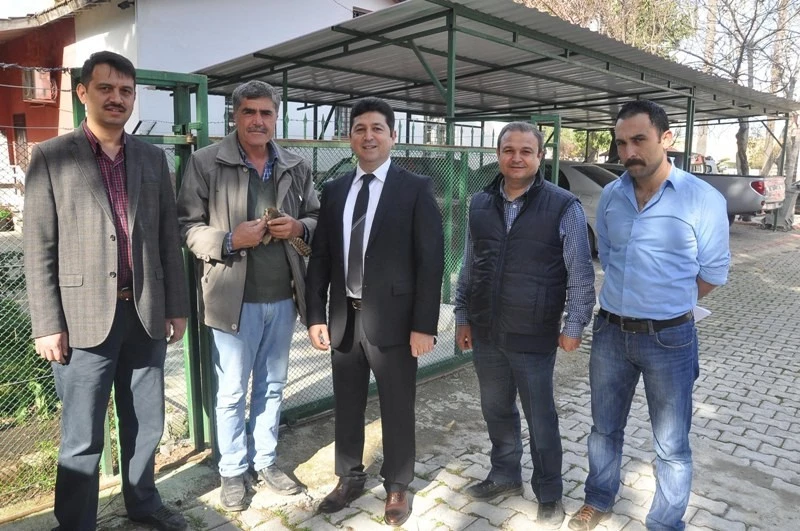 Kaçak avcıların yaraladığı `kerkenez` artık uçamayacak