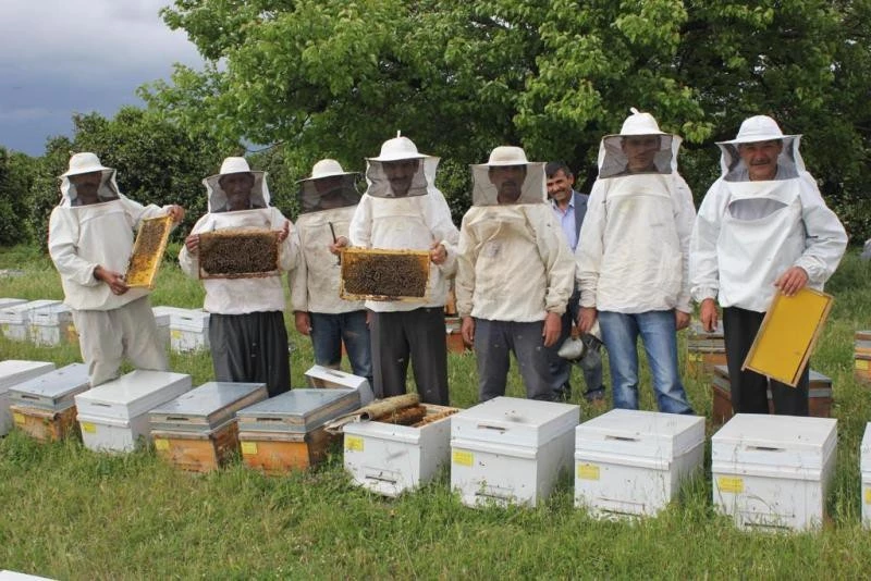 Arı ve besi desteklemesi başvuruları başladı