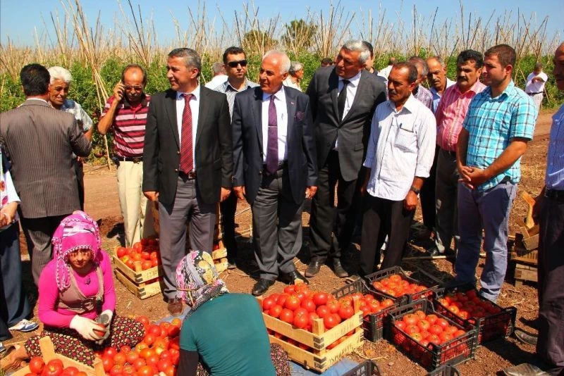 Yaz aylarında günde en az 5 porsiyon sebze, meyve tüketin