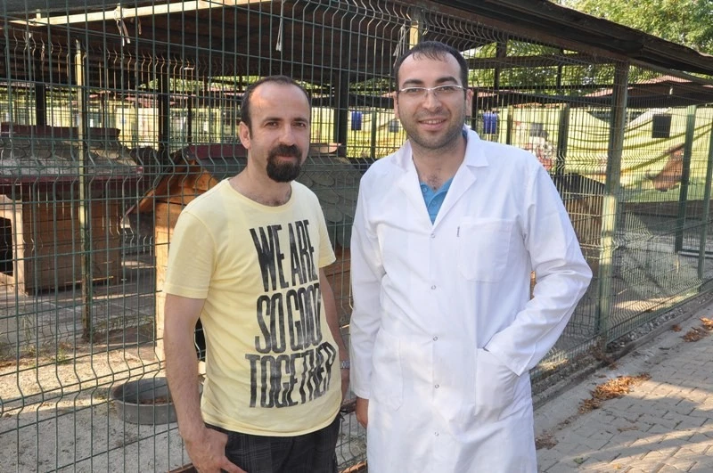 Osmaniye`deki Hayvan barınağı tez konusu oldu