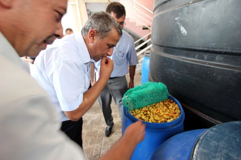 Biber Turşusu Üretim tesisinde inceleme