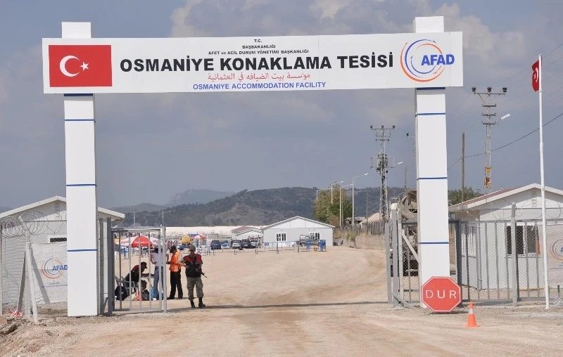 Konaklama tesisindeki çadırının kenarında kenevir yetiştirmiş