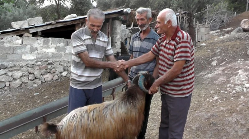 Kurbanlıklar için sıkı pazarlıklar başladı