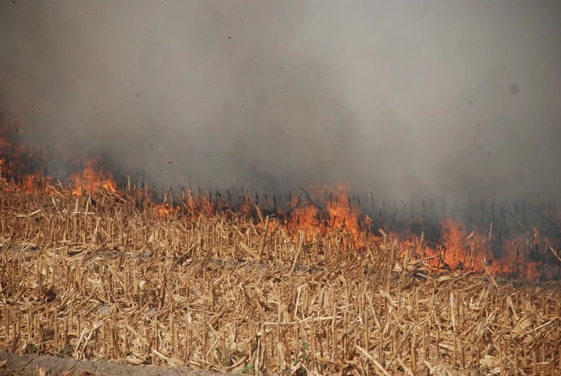 Çitçilere `anızları yakmayın`uyarısı