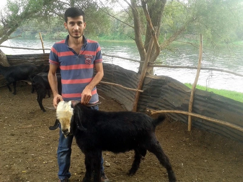 Kurban alımı ve kesiminde dikkatli olalım!