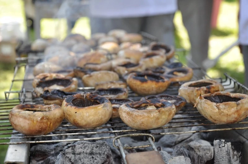 Mantarın zehri hiçbir şekilde yok edilemez