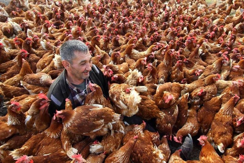 Kalay`ın iki fotoğrafı sergilenmeye değer bulundu