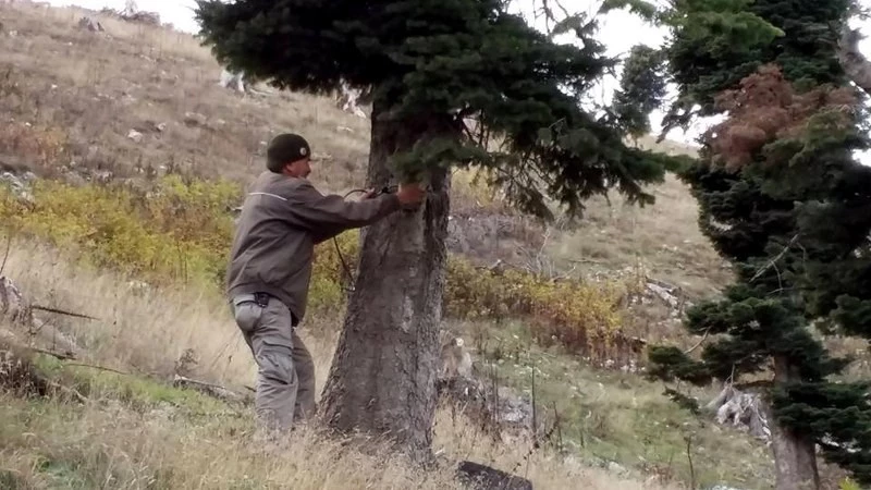 Yaban hayvanları foto kapanlar ile takip ediliyor