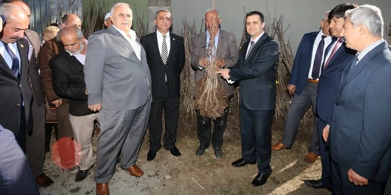 Çiftçilere Kiraz, Japon Eriği ve Alıç fidanı dağıtıldı