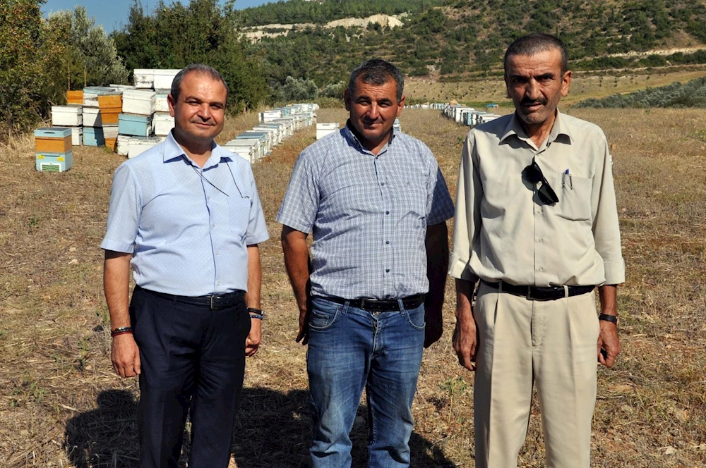 Arı kuşu ile mücadelede ekolojik dengeyi bozmayacak yöntem