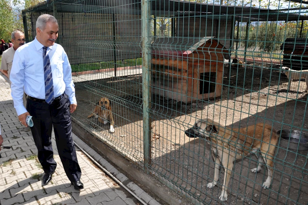 Hayvan barınağına yönelik çirkin eylem: Tel çitler koparıldı, kapılar açıldı