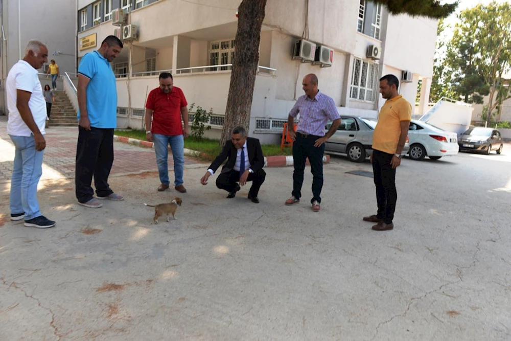 Boncuk` için barınak yapılacak