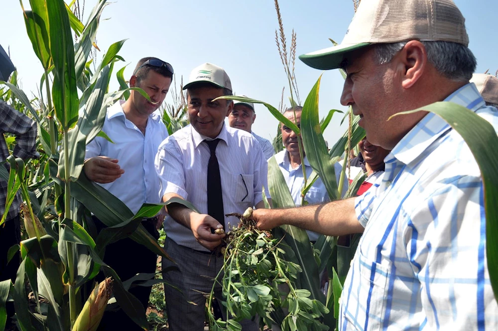 ÇATAK ile Osmaniye`ye 567 Bin 507 lira para girişi olacak