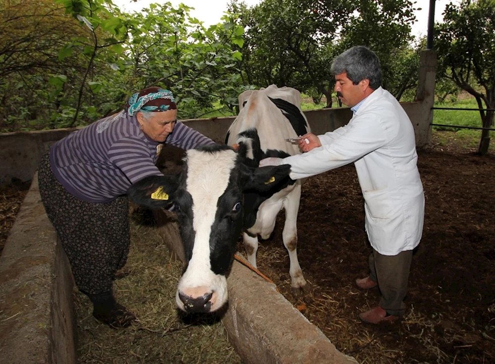 OSTADER`den Kilis`teki Mehmetçiklere Osmaniye Fıstığı ve Baklava İkramı