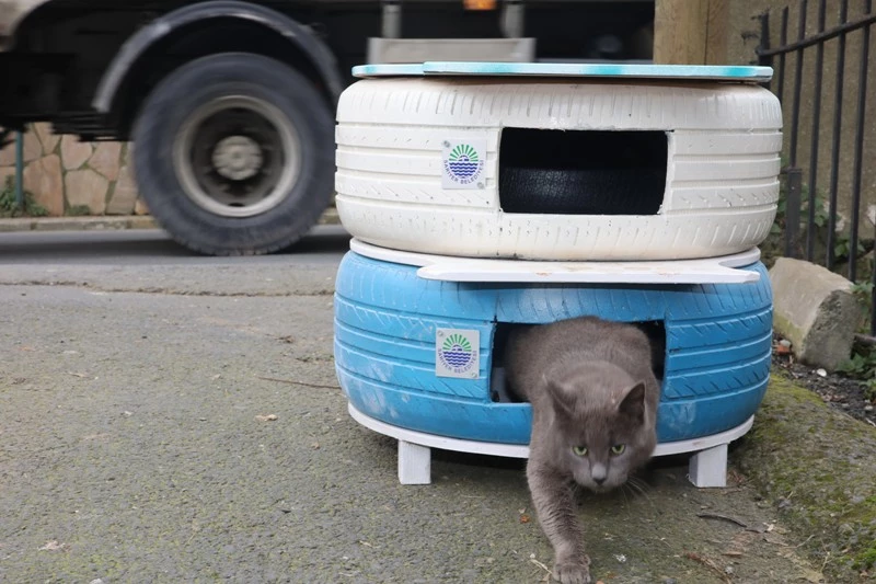   Doğaya Atılan Lastikler Dostlarımıza Yuva Oldu