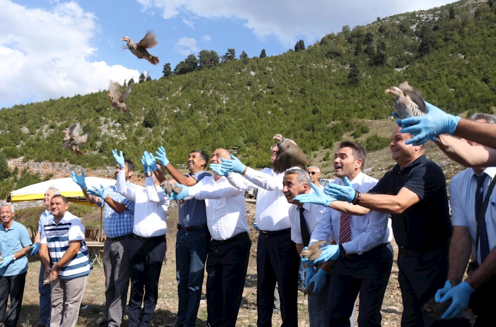 Kınalı Keklikler Düldül Dağı`nda doğayla buluşturuldu