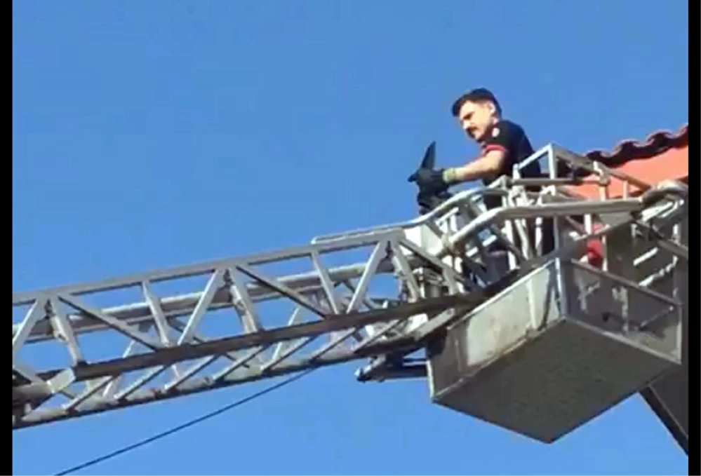 Hastane binası çatısında, mahsur kalan kırlangıcı itfaiye kurtardı