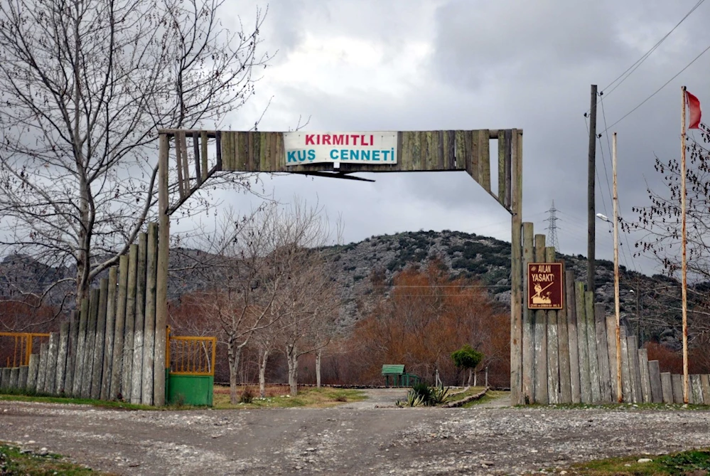 Kuş Cennetinde av yapan 3 şahsa ceza