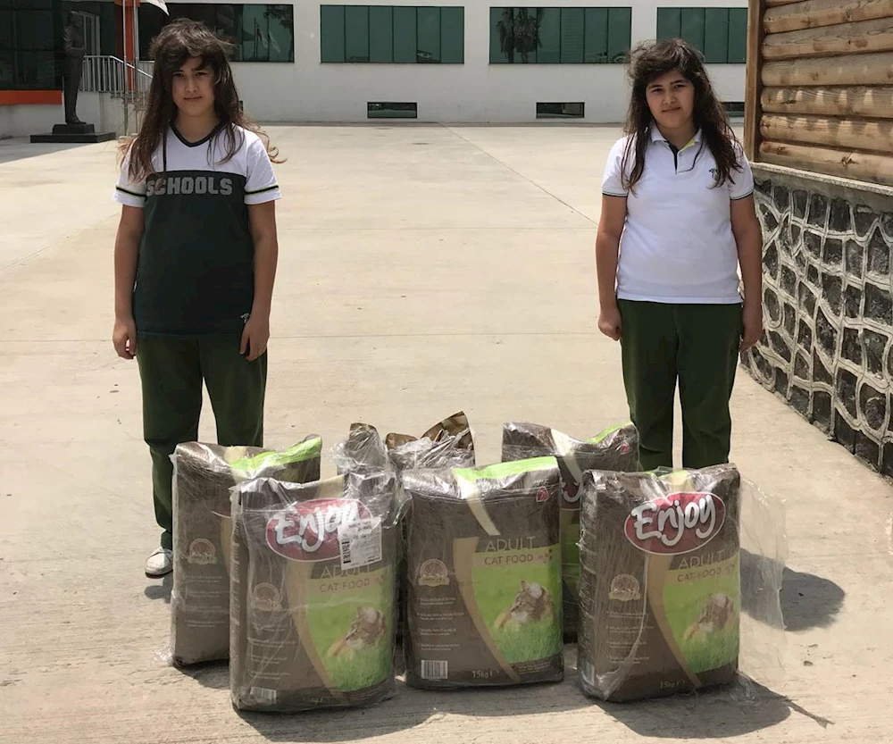 Konser gelirleriyle sokak hayvanlarına gıda aldılar