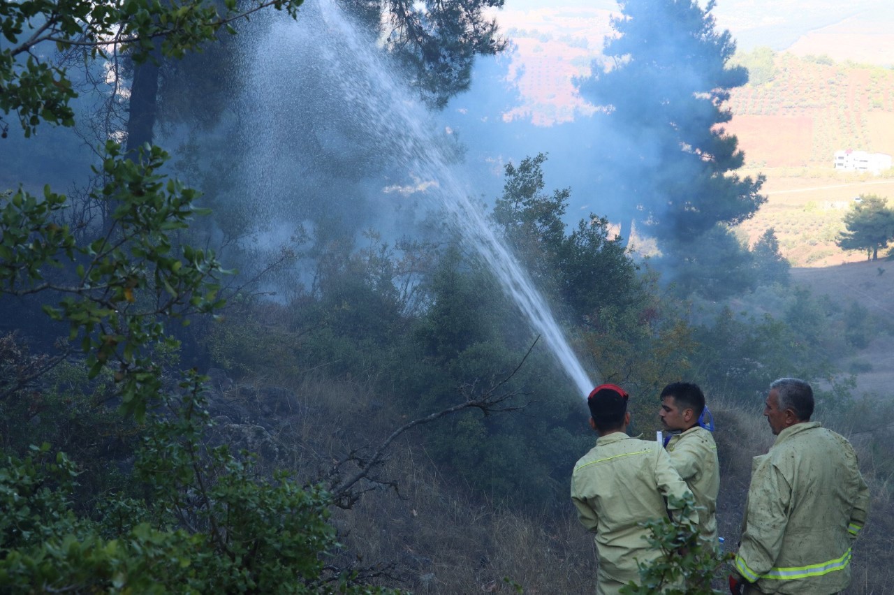 Hasanbeyli`de 5 Hektar  Orman Yandı