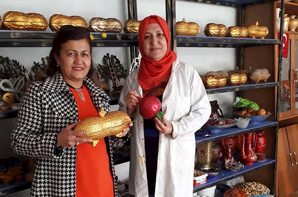 Osmaniye Yerfıstığı ve Turp maketlerine patent