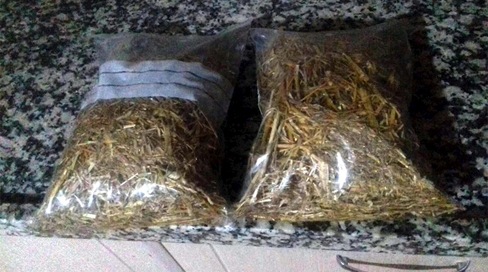 Osmaniye`de Samandan Beyaz Kağıt Üretildi