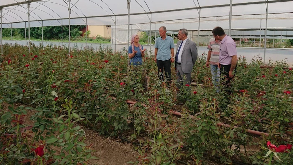 Narenciye, zeytin ve domates bahçelerine kurulan tuzaklar
